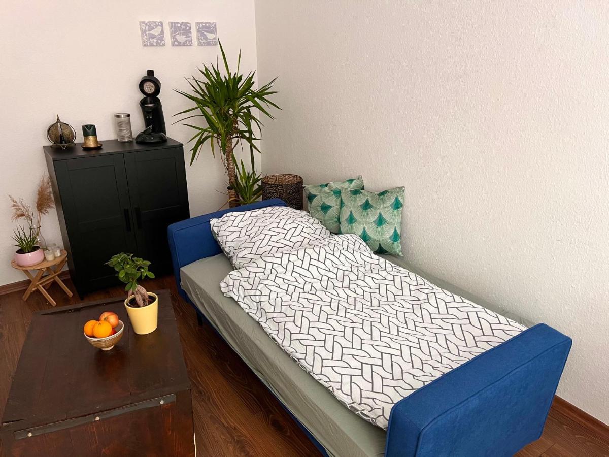 Traumhaftes Zwei-Zimmer-Apartment an der Elbe Dresden Exterior foto